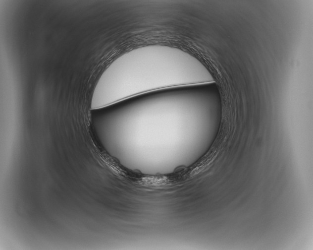 X0000116590480200912101336