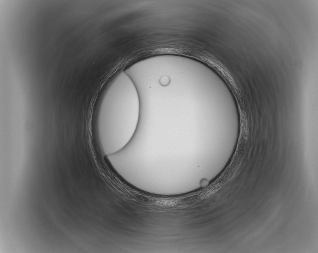 X0000116590482200912101335
