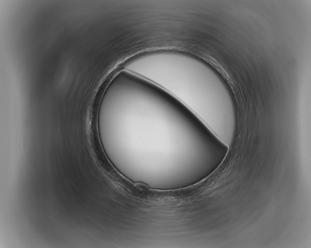 X0000116590483200912101335