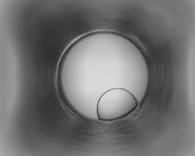 X0000116590484200912101335