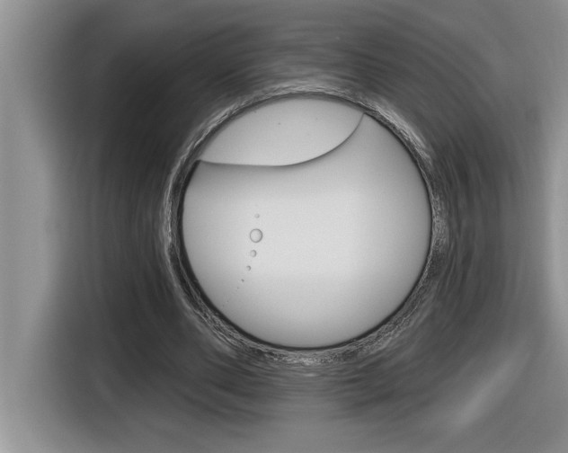 X0000116590486200912101335