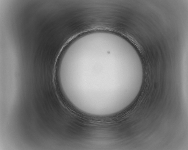 X0000116590488200912101335
