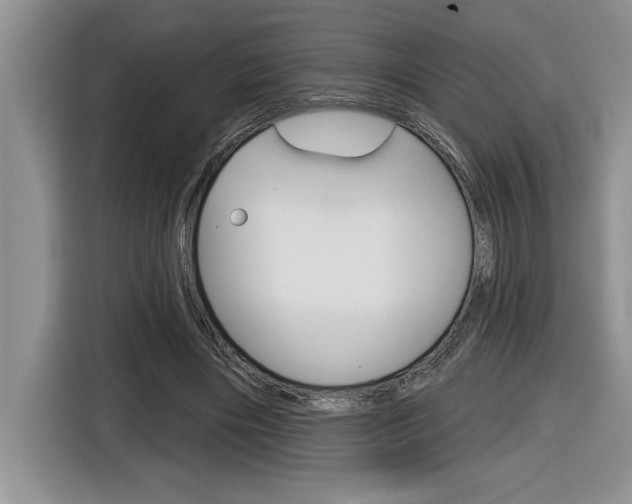 X0000116590490200912101335