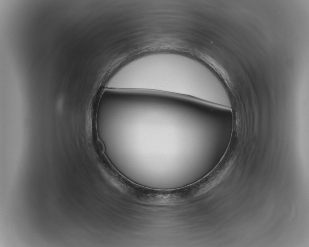 X0000116590493200912101335