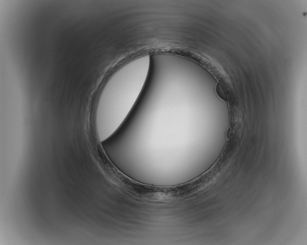 X0000116590496200912101335