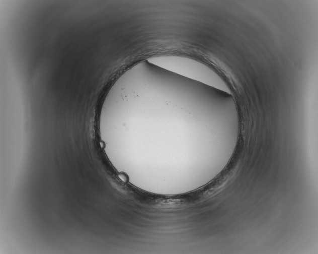 X0000116590497200912101335