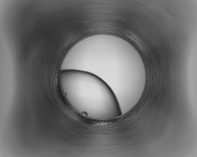 X0000116590499200912101335