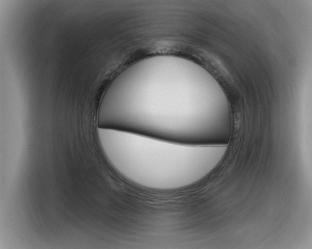X0000116590503200912101335