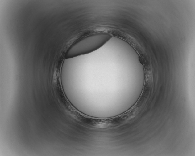 X0000116590504200912101335