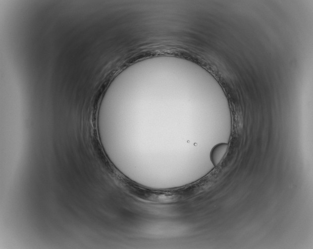 X0000116590506200912101335