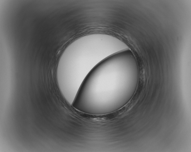 X0000116590508200912101335