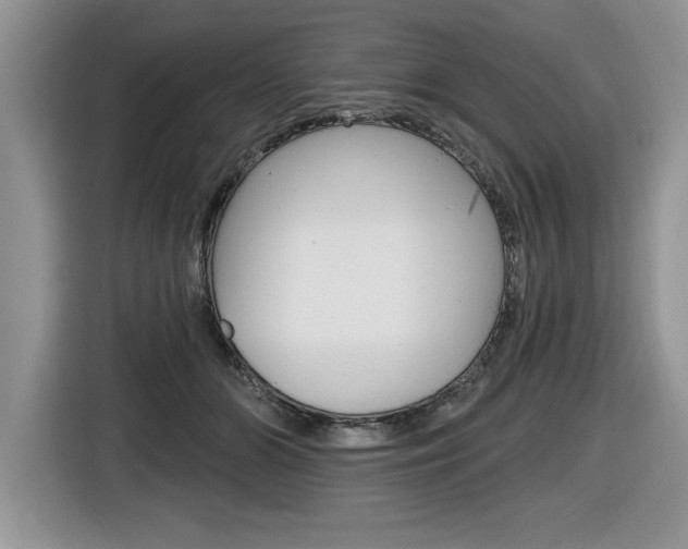 X0000116590510200912101335