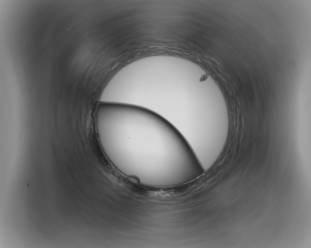 X0000116590511200912101335