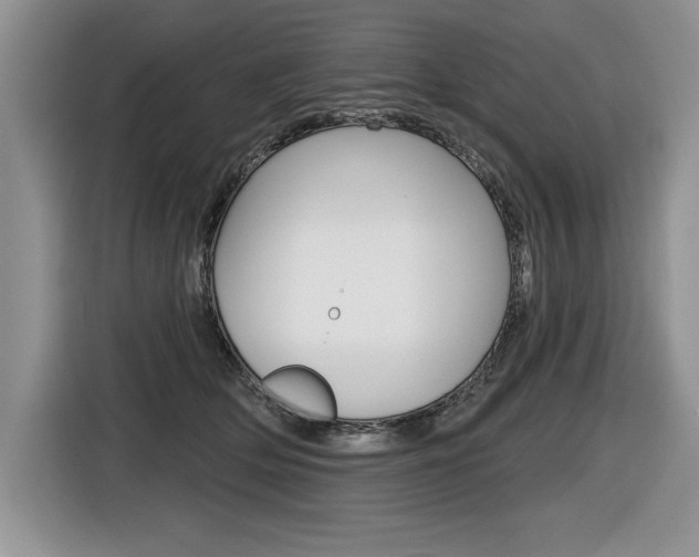 X0000116590514200912101335