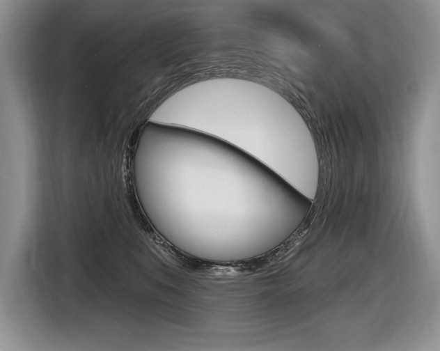 X0000116590519200912101335