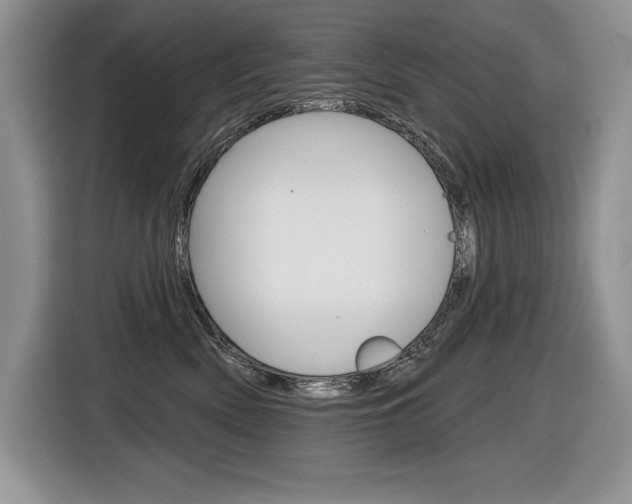 X0000116590522200912101335