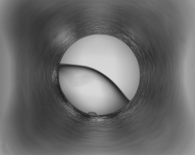X0000116590523200912101335