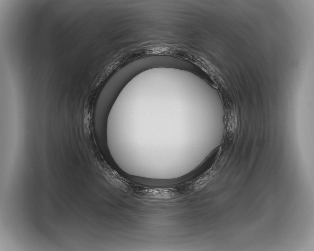 X0000116590524200912101335