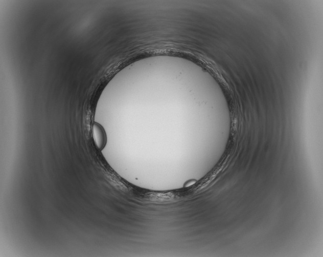 X0000116590525200912101335