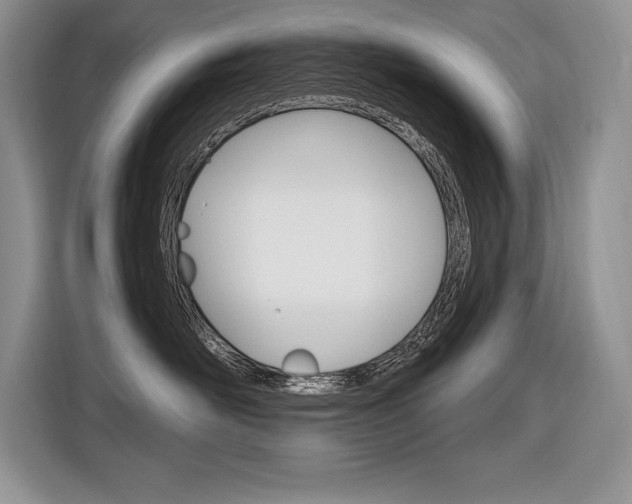 X0000116590526200912101335