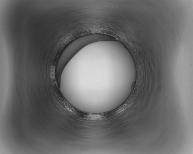 X0000116590528200912101335