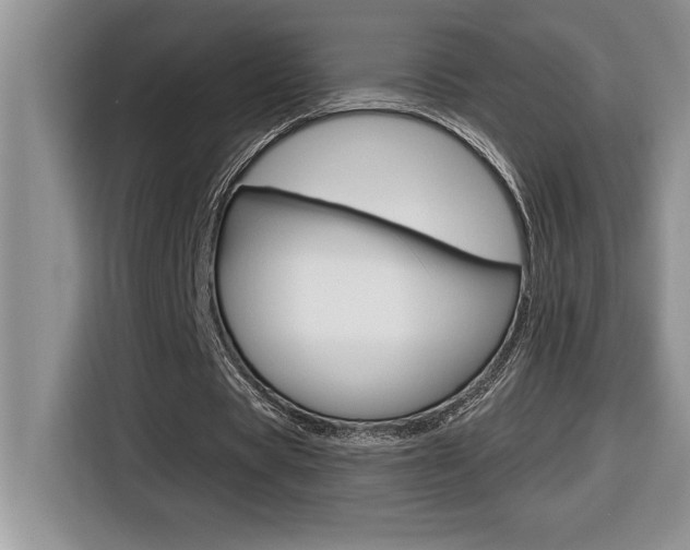X0000116590529200912101334