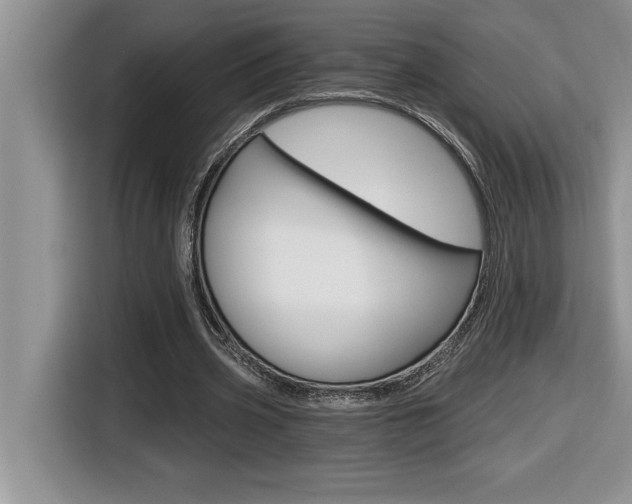 X0000116590533200912101334