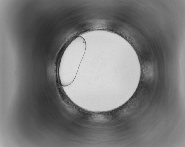 X0000116590534200912101334