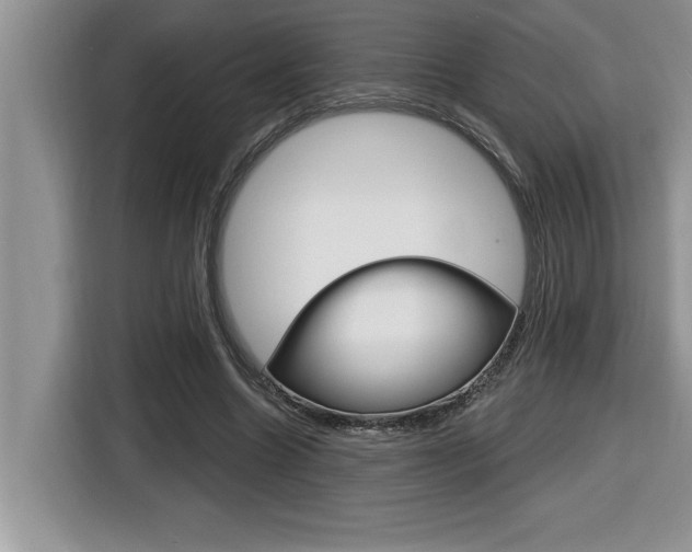 X0000116590538200912101334