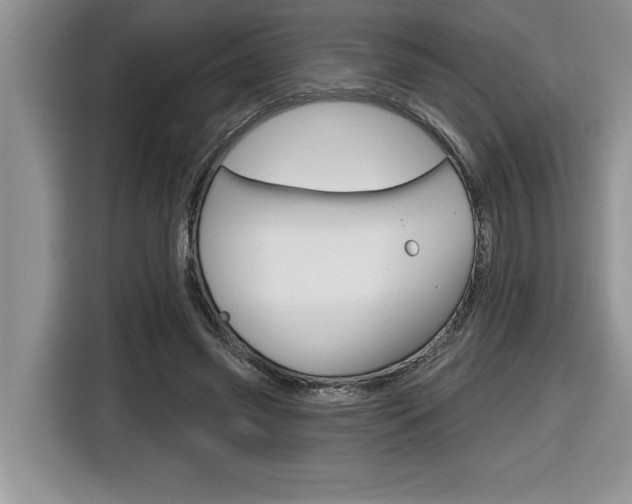 X0000116590541200912101334