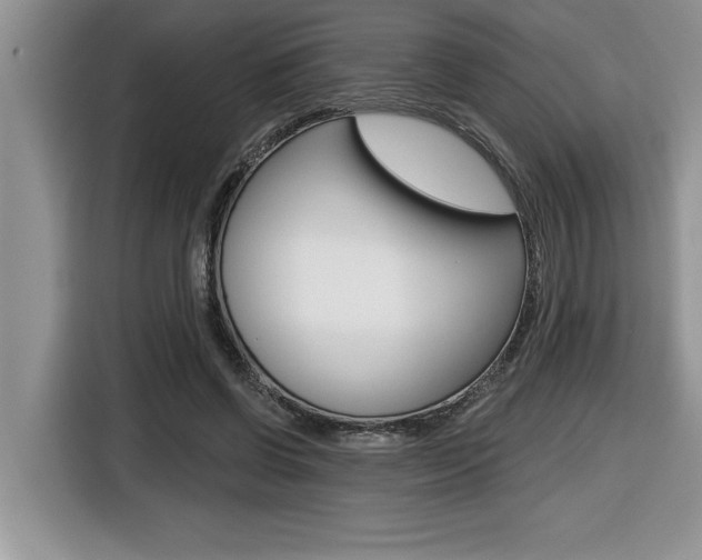 X0000116590542200912101334