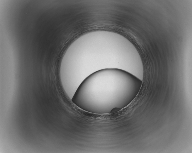 X0000116590546200912101334