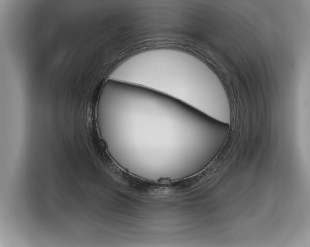 X0000116590551200912101334