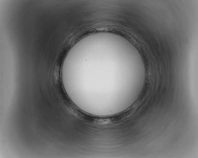 X0000116590554200912101334