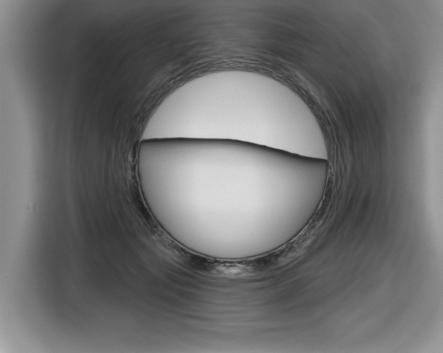 X0000116590557200912101334