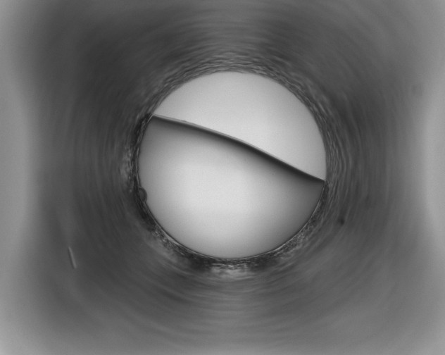 X0000116590559200912101334