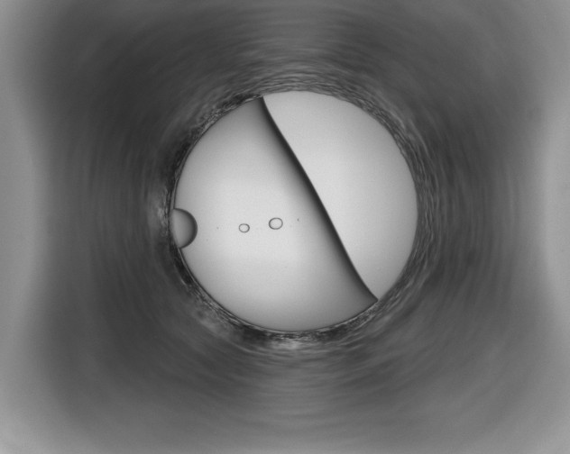 X0000116590561200912101334