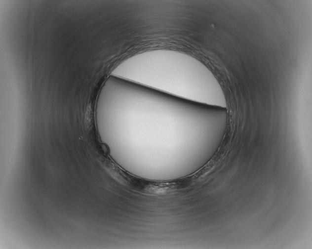 X0000116590563200912101334