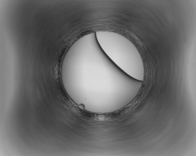 X0000116590565200912101334