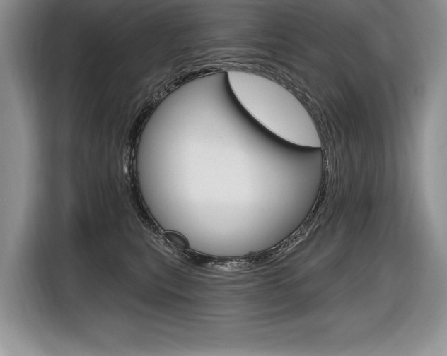 X0000116590567200912101334