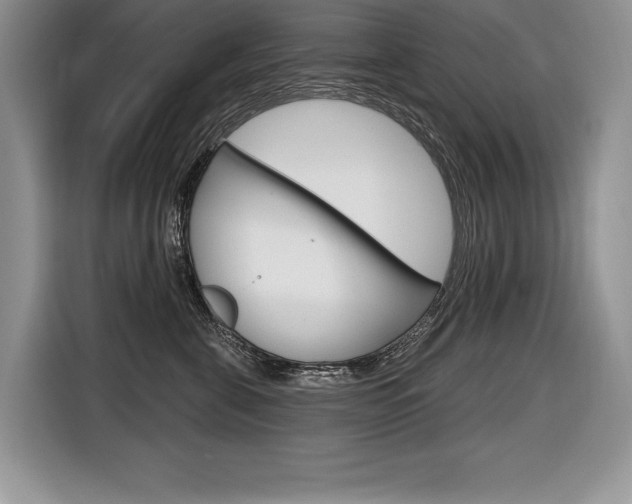 X0000116590571200912101334