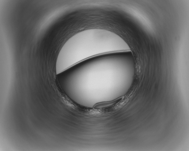 X0000116590574200912101334