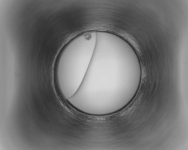 X0000116590578200912101334