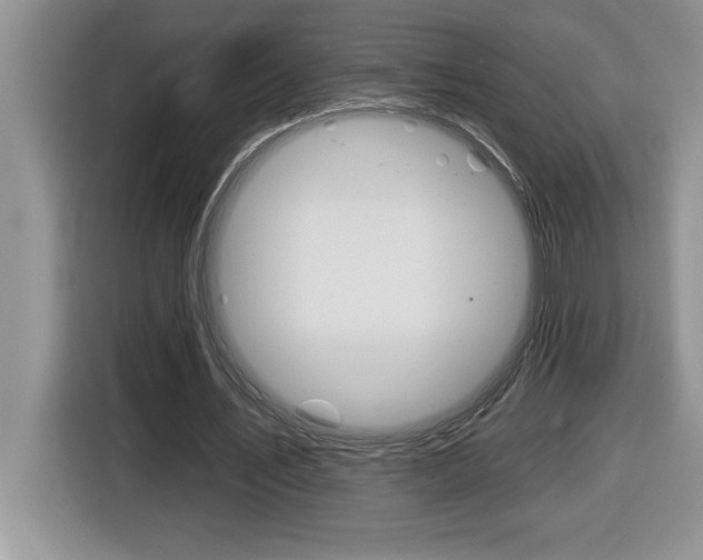 X0000116590579200912101334