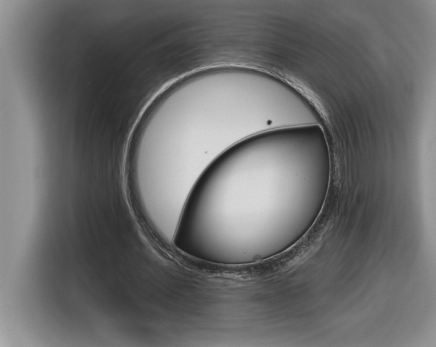 X0000116590580200912101334