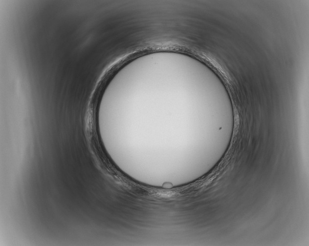 X0000116590583200912101334