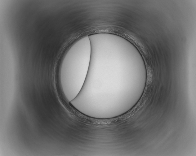 X0000116590586200912101334