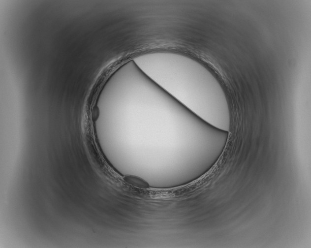 X0000116590587200912101334