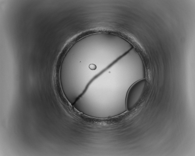X0000116590588200912101334