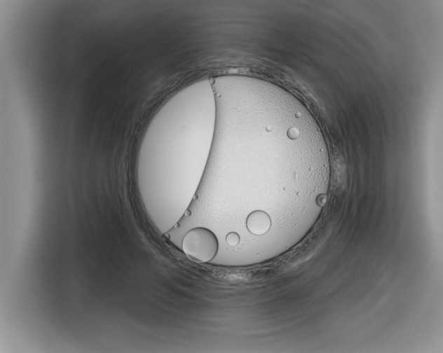 X0000116590594200912101334